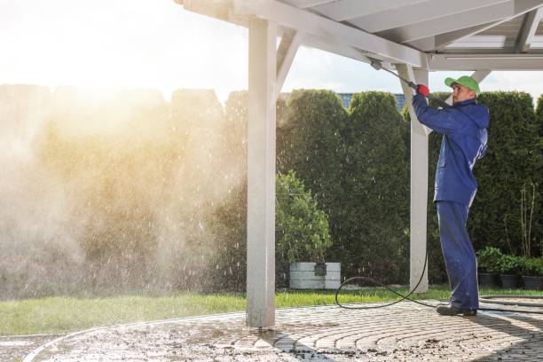 Best Dumpster Area Cleaning  in Knoxvle, IL