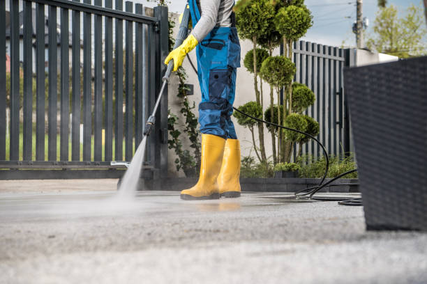 Best Parking Lot and Garage Cleaning  in Knoxvle, IL